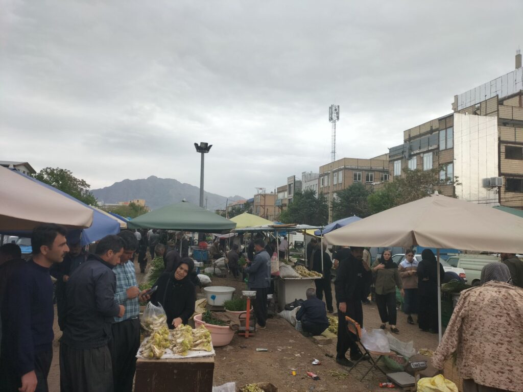 گیاهان بهاری دولت آباد