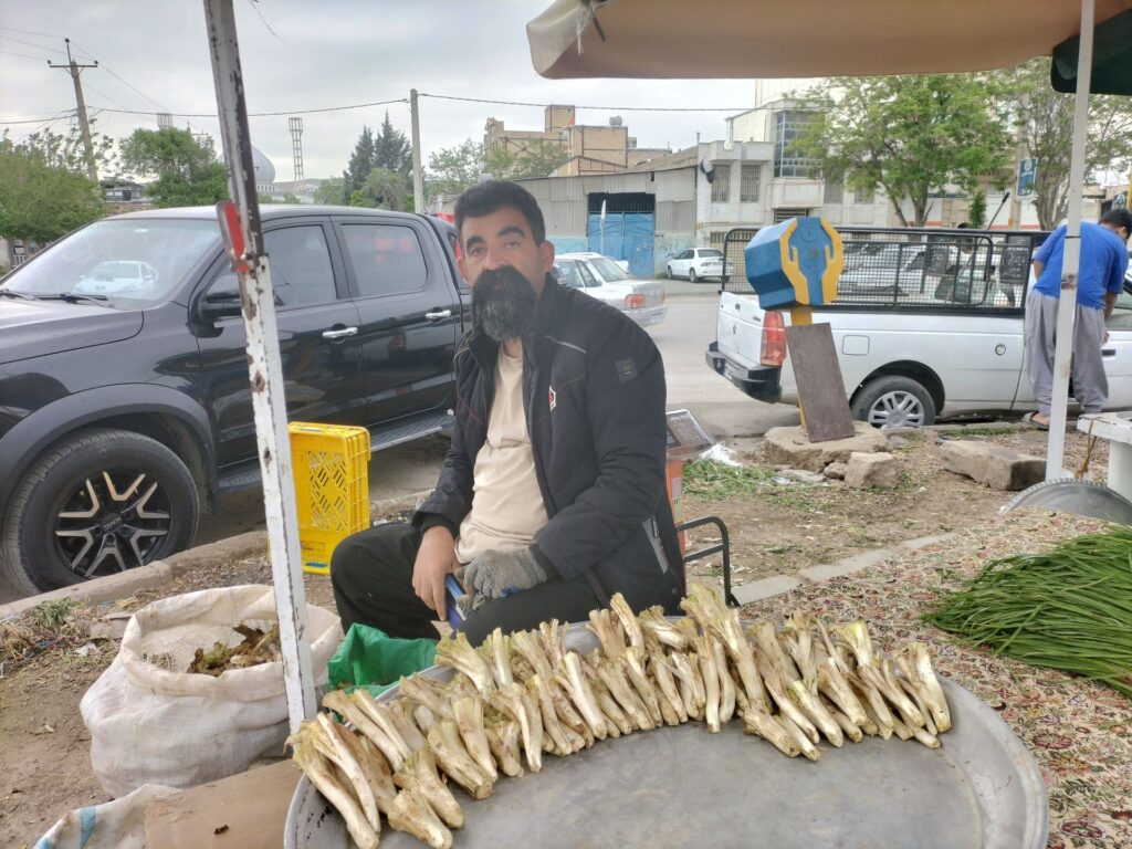 سلیمان مرادی دولت آباد