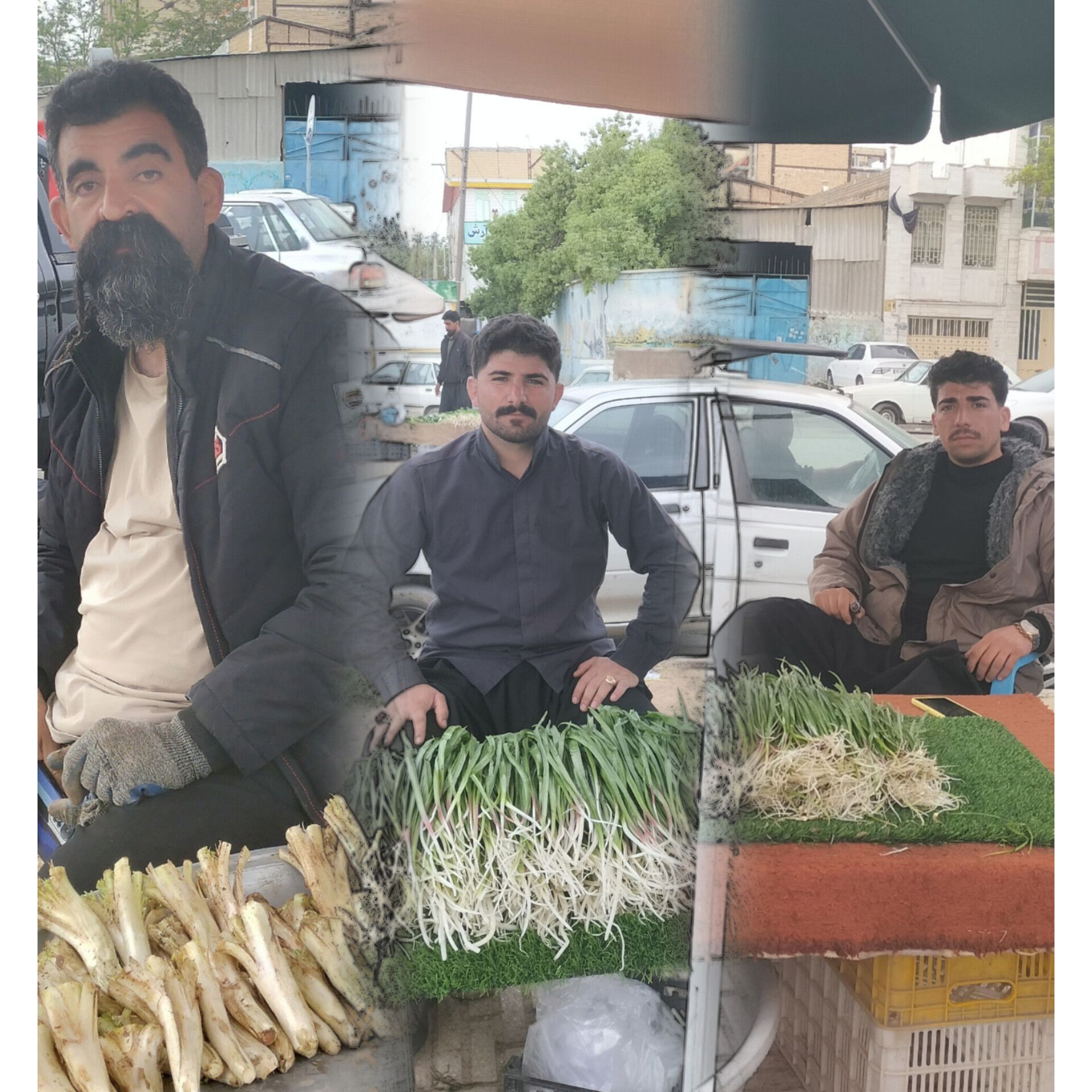 گیاهان بهاری در دولت آباد